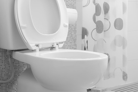 A toilet bowl