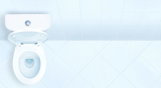 Low-Flow Toilets