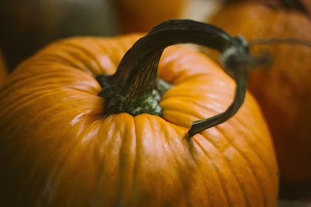 Fall