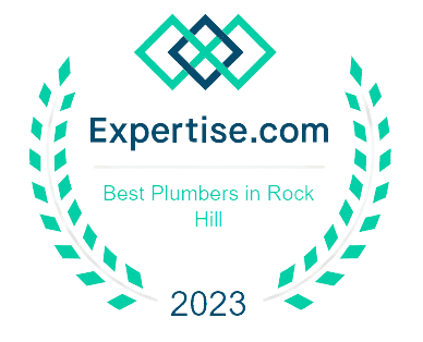 Expertise Award